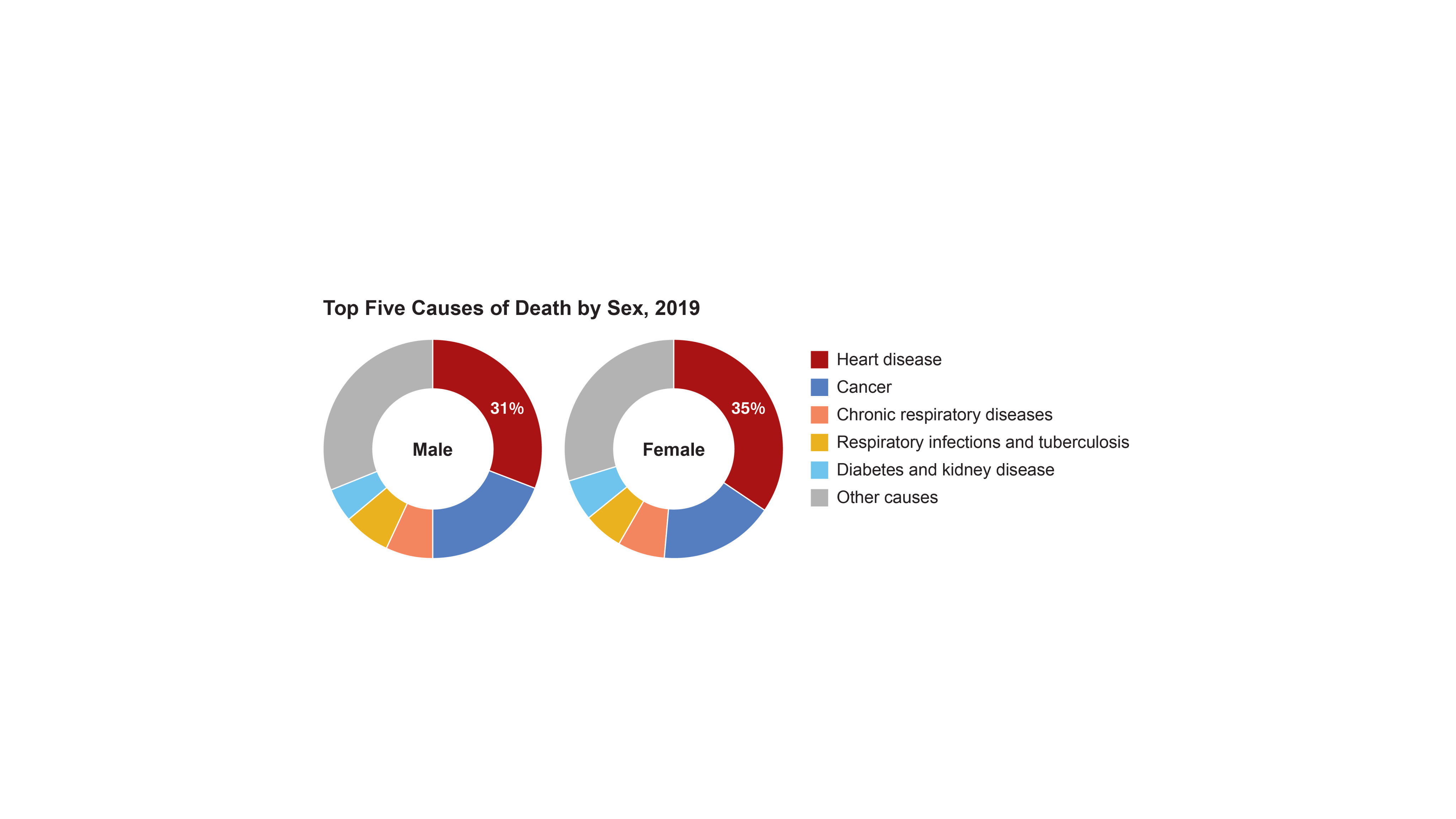 Chart shows top five causes of death by sex and percent of deaths caused by each in 2019.